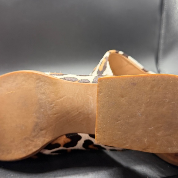 Able Mules - Picture 8 of 8